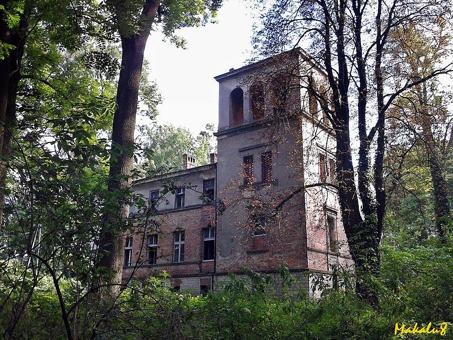 Ruiny pałacu w Kotliszowicach