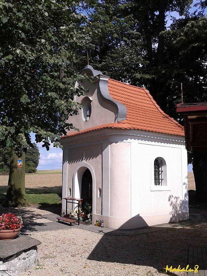 Kapliczka w Goju