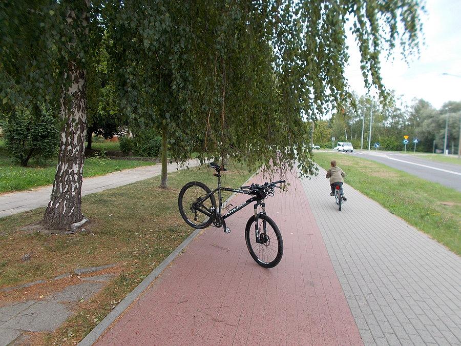 Ścieżka rowerowa na Niepodległości