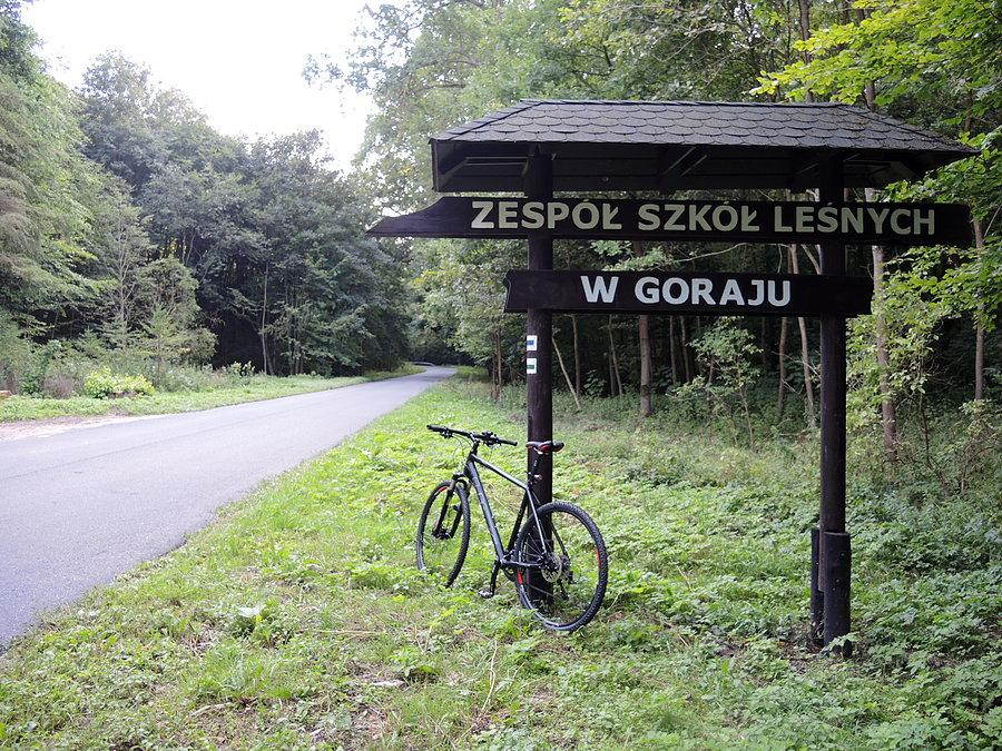 W drodze do Goraju