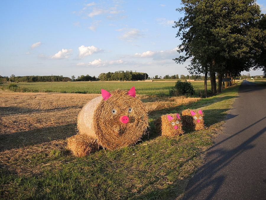 Dożynkowe klimaty - przed Sokołowem