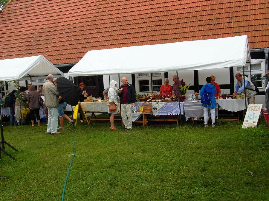Święto ziół- stragany ze zdrową żywnością - Swołowo