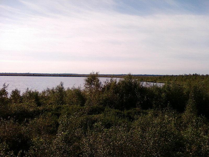Lengener Meer