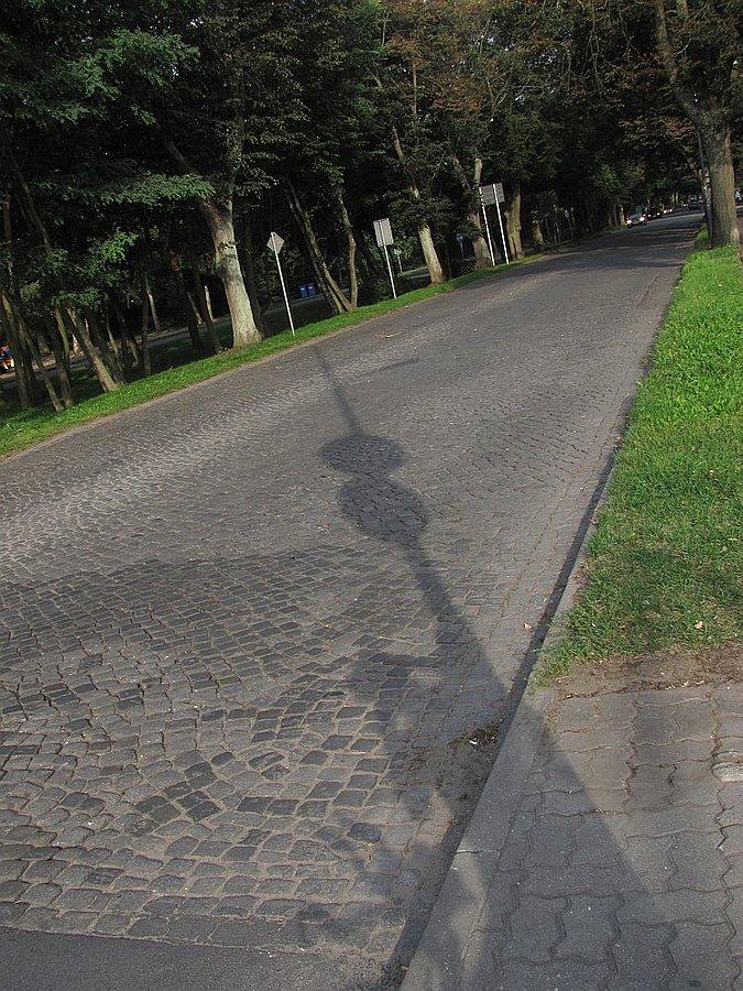 Pierwsze bruki na dziś