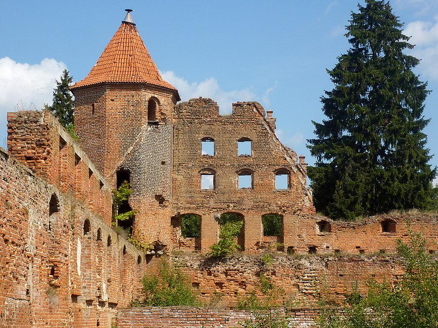 Zamek w Szymbarku ( XIV w. )