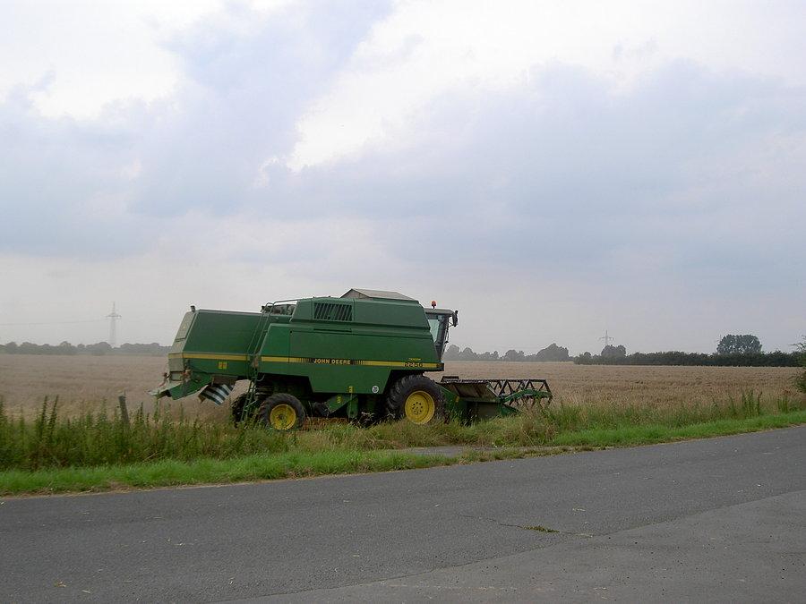 Żniwa w pełni