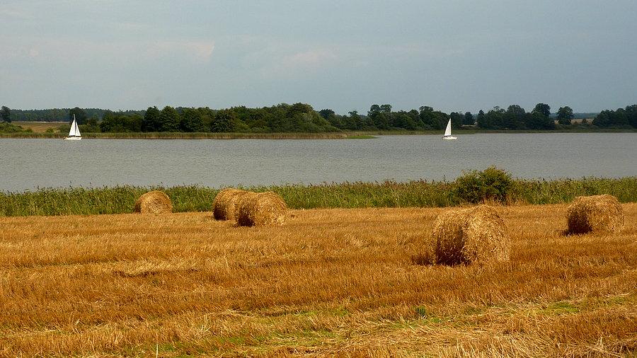 Północny skraj Jezioraka. Matyty