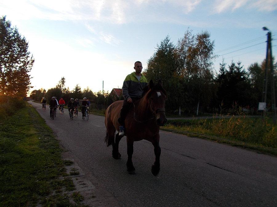 Jedziemy spokojnie za konikiem