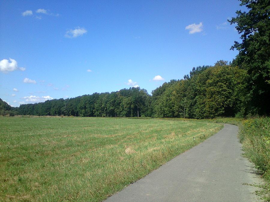 W drodze do Ryczyna
