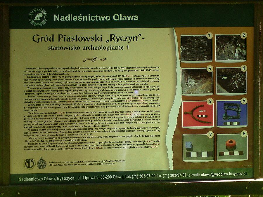 W Ryczynie
