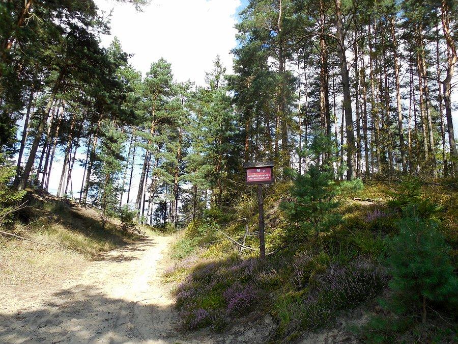 Rezerwat Jeleniak Mikuliny