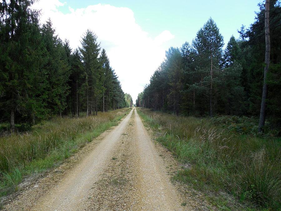 Na drodze im. Jarosława Brzezińskiego w Koszęcinie