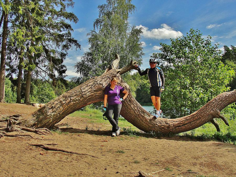 Kociewskie trasy rowerowe. Jezioro Borówno Durze