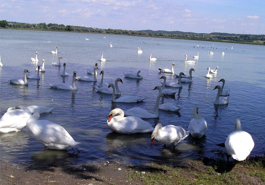 Stawy na Wielikącie