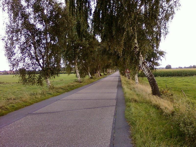Betonowa droga