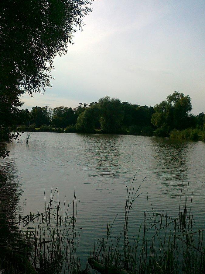 Ładnie tu