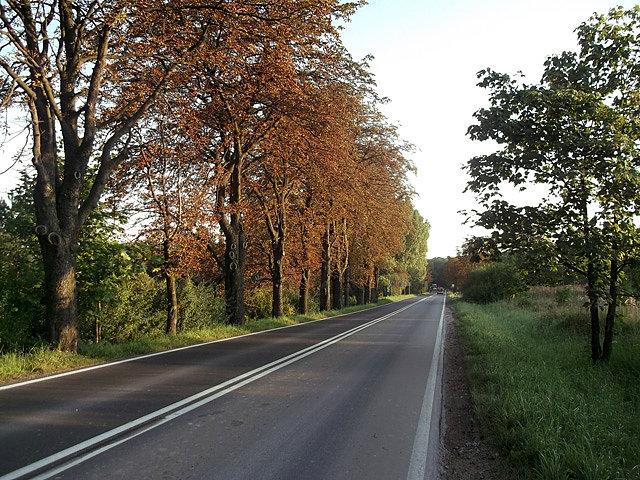 Klimatyczna DW 791