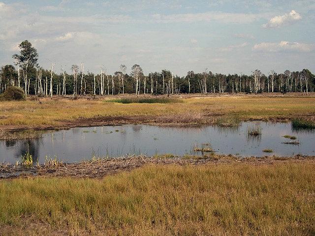 Krajobraz
