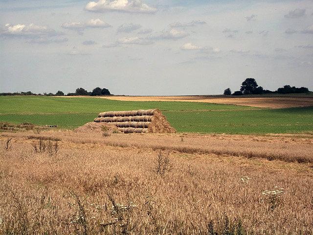 Żniwa 2