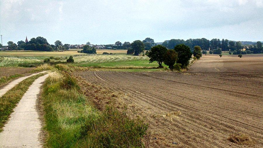 W drodze do Sadłowa