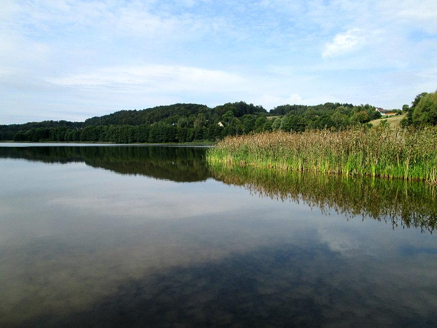 Widok na Jezioro Potulskie