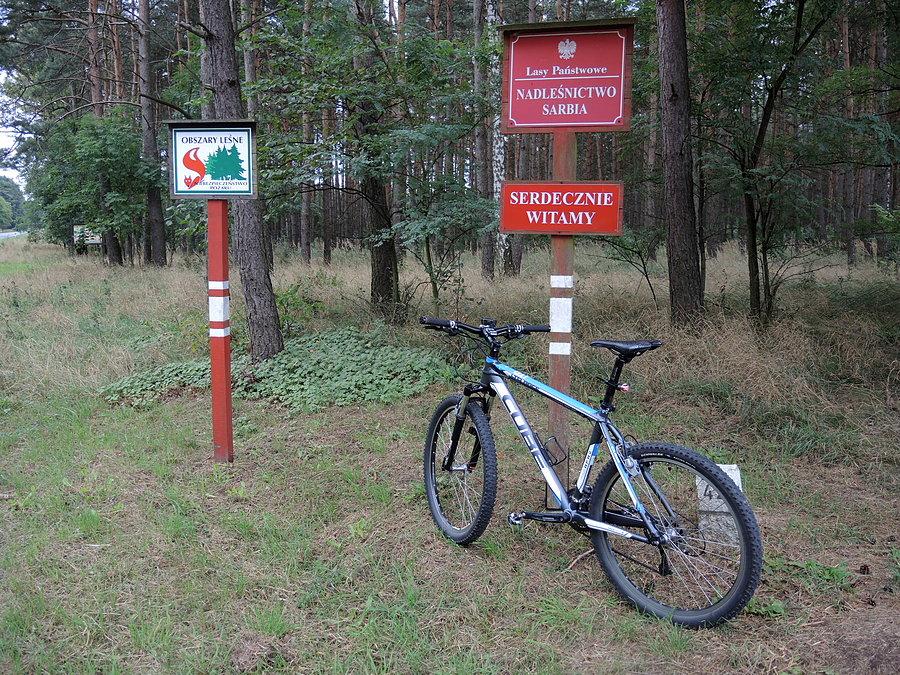 W drodze do Chodzieży - Nadleśnictwo Sarbia