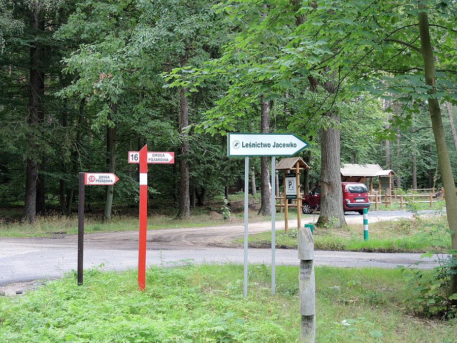 Zjazd w kierunku Leśnictwa Jacewko