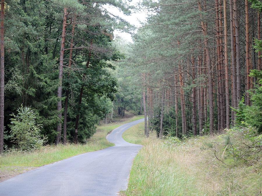 Szlak w kierunku jeziora Karczewnik