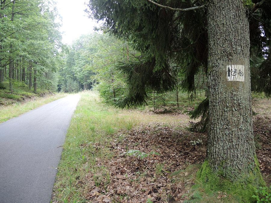 Szlak rowerowy w kierunku Jeziora Karczewnik