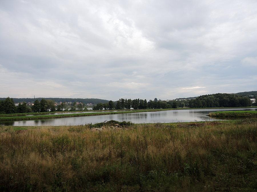 Widok na stawy i Jezioro Karczewnik