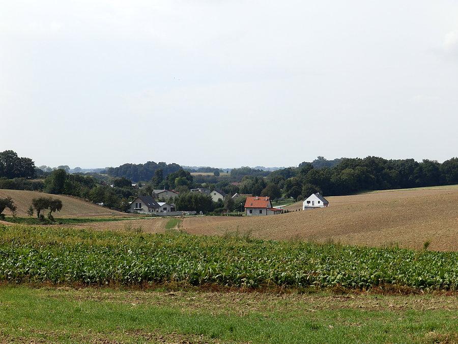 Zaprężyn