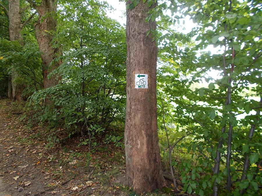 Kadyny - trasa MTB Nadleśnictwa Elbląg