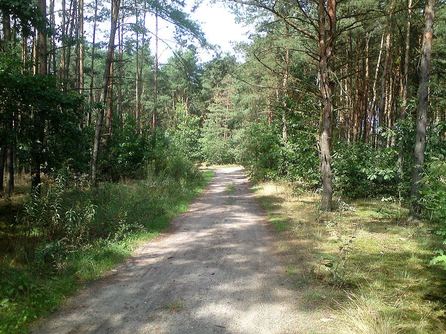 Chróścice - Stare Siołkowice