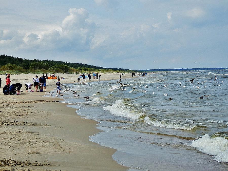 Plaża w Jantarze. Dużo spacerowiczów