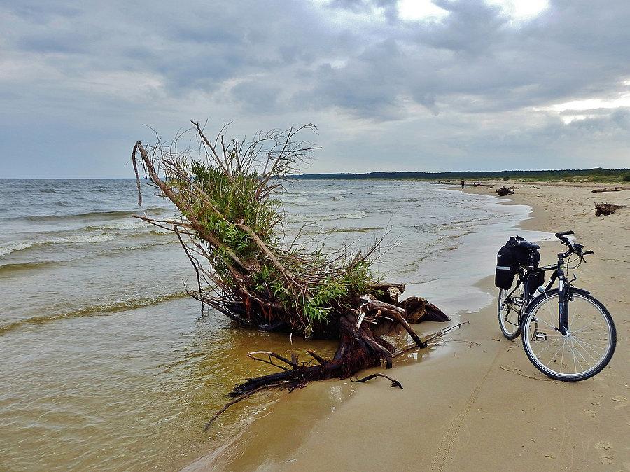 Na trasie wycieczki.Plaża w Mikoszewie-pustki
