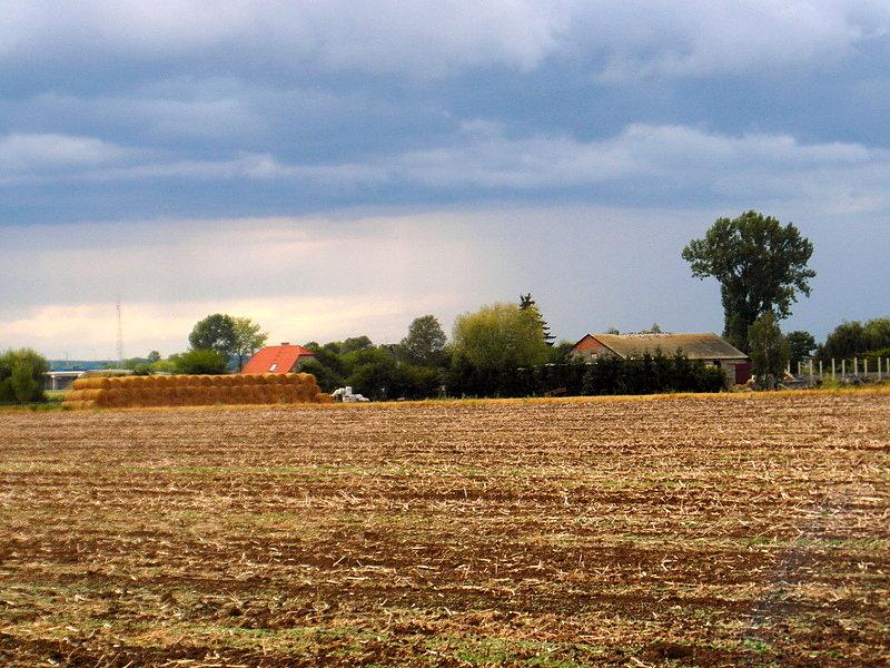 Widoczki na pola