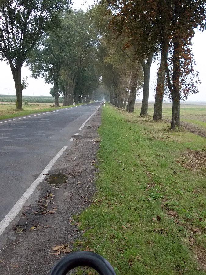 Chłodno, mglisto czy to juz jesień ?