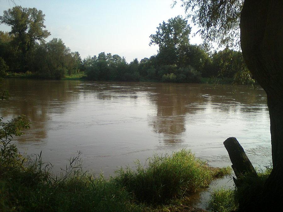 Wezbrana Odra