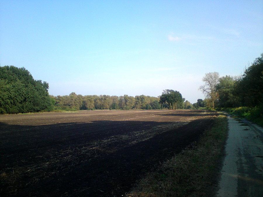Tutaj było chaszczowisko