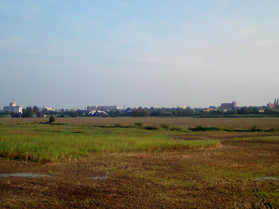 Panorama Brzegu