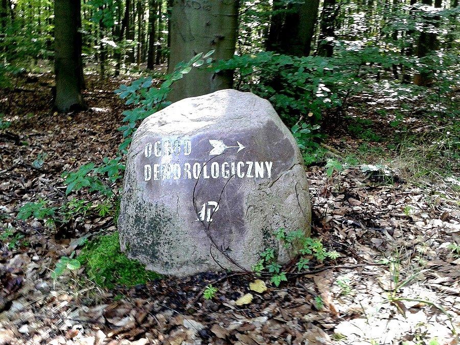 Kierunek ogród dendrologiczny