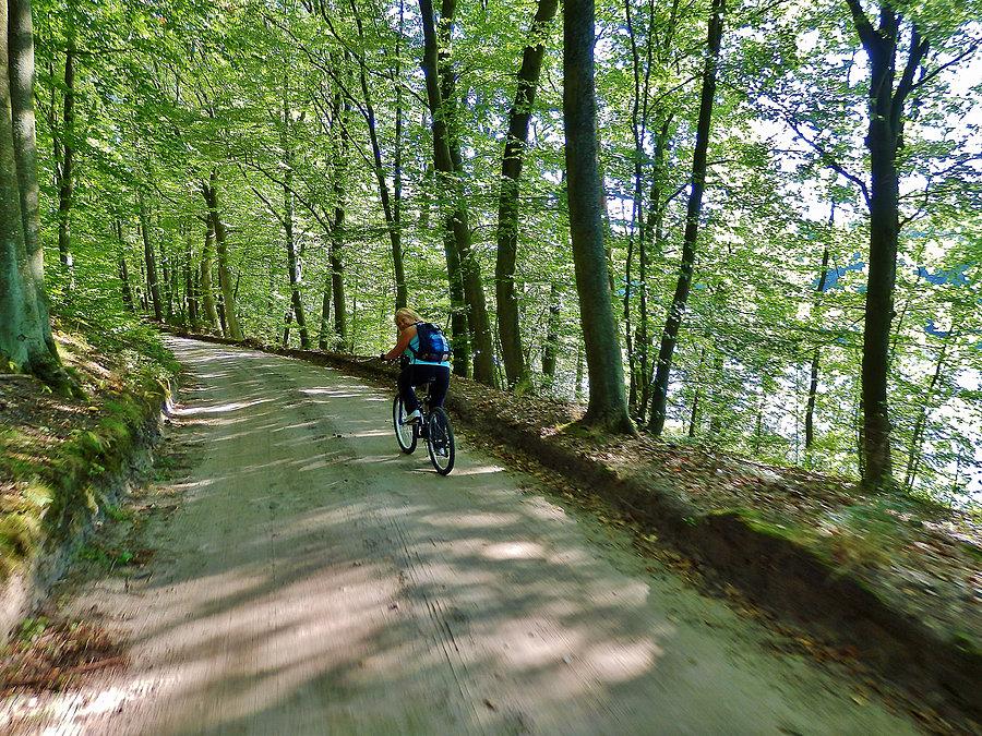 Wycieczka po lasach kociewskich