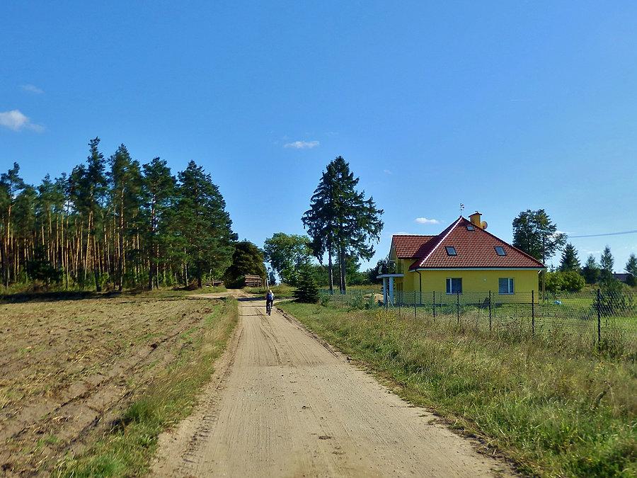 Wycieczka po lasach kociewskich