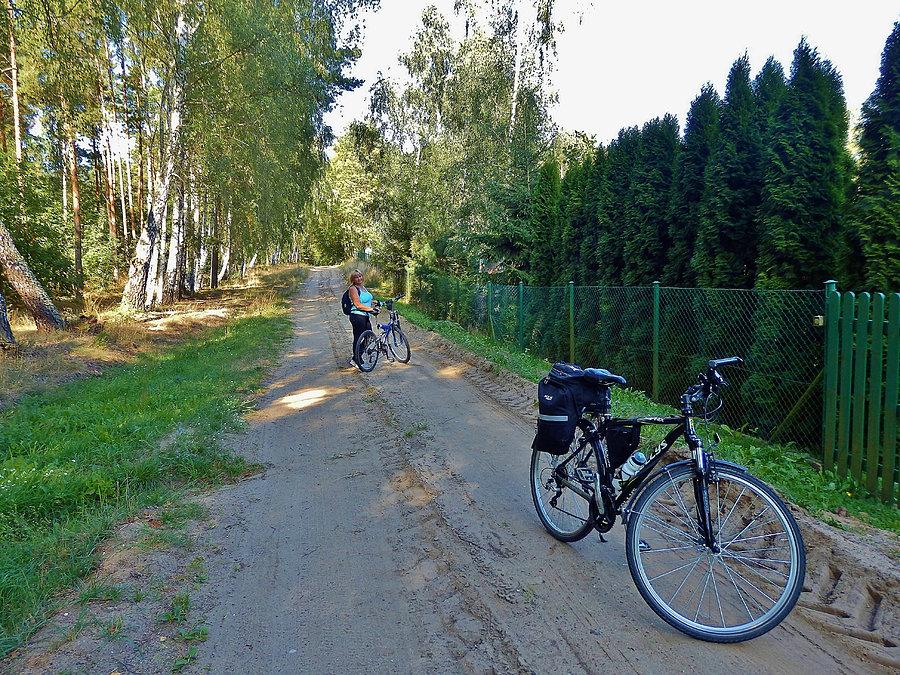 Wycieczka po lasach kociewskich