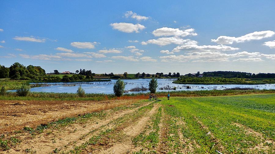 Szczerbięcin - rozlewisko, raj dla ptaków