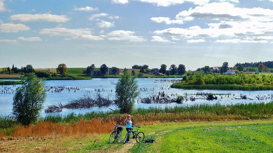 Szczerbięcin - rozlewisko, raj dla ptaków