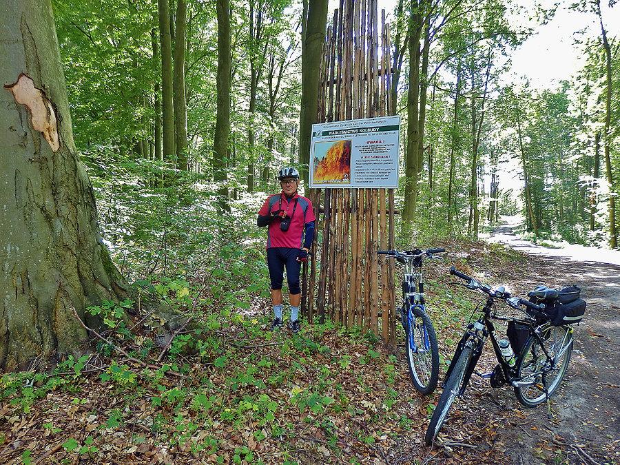 Wycieczka po lasach kociewskich