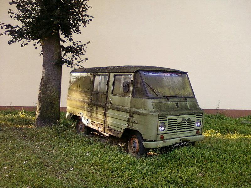 Zardzewiały żuk
