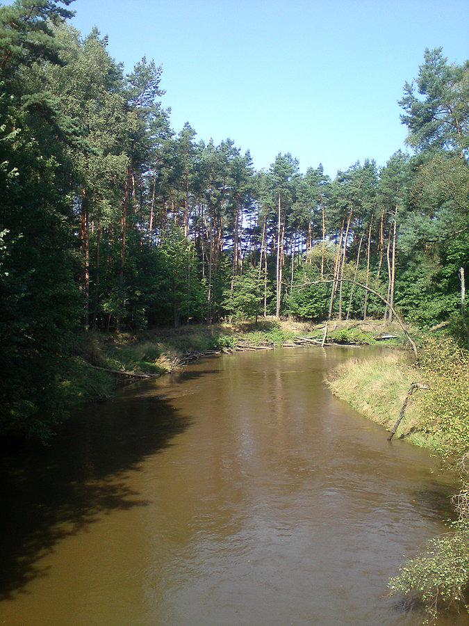 Mała Panew - opolska amazonka