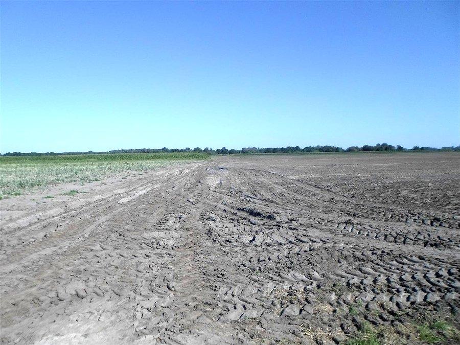 "Droga" do Jaktorowa, dalej było gorzej. Dziękuję ci google maps
